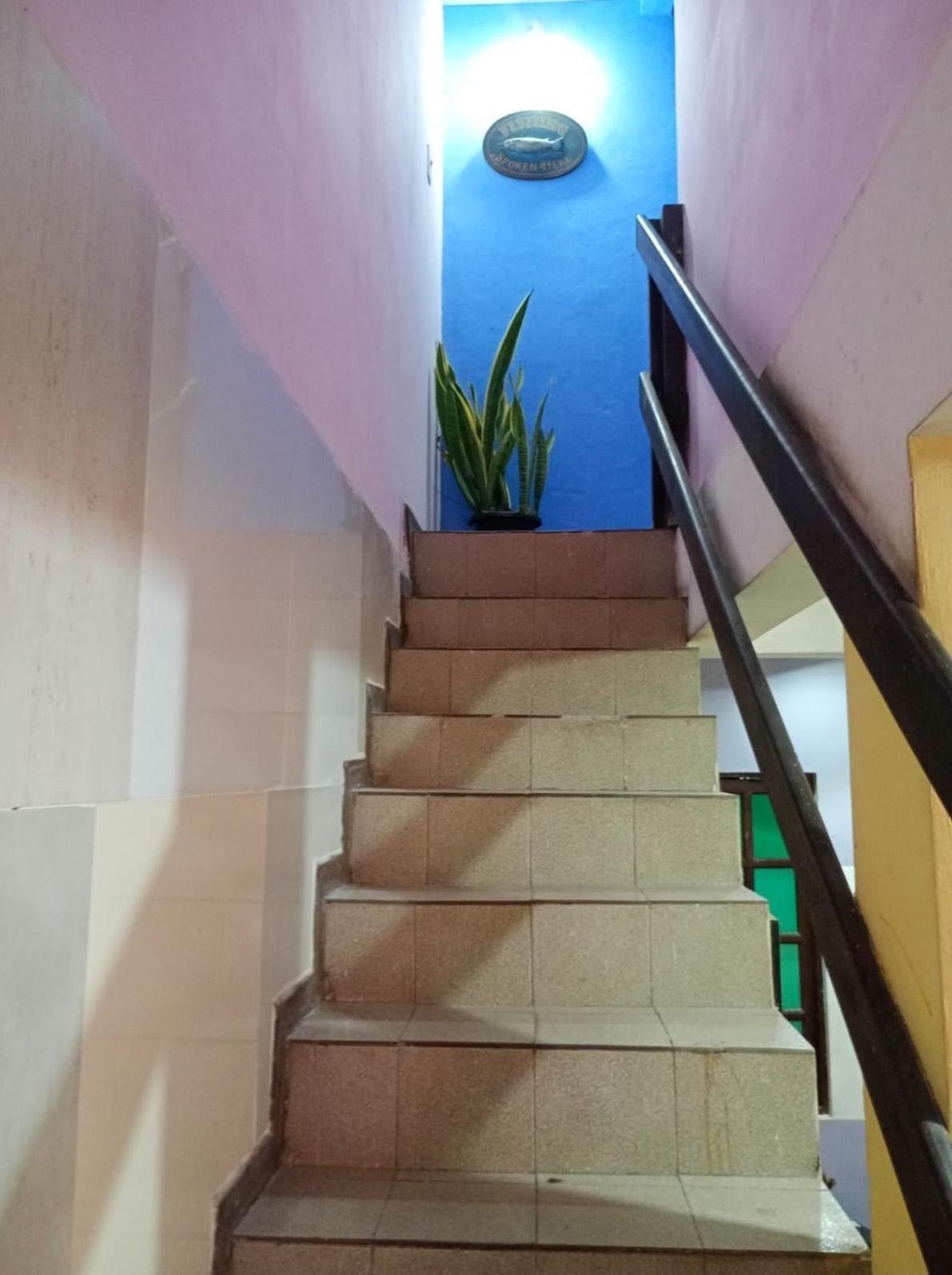 Novo Hostel Itapua Салвадор Екстер'єр фото